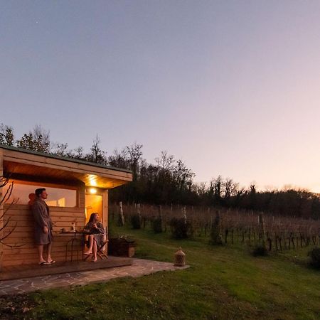 Agriturismo Terre Bianche Teolo Exterior photo