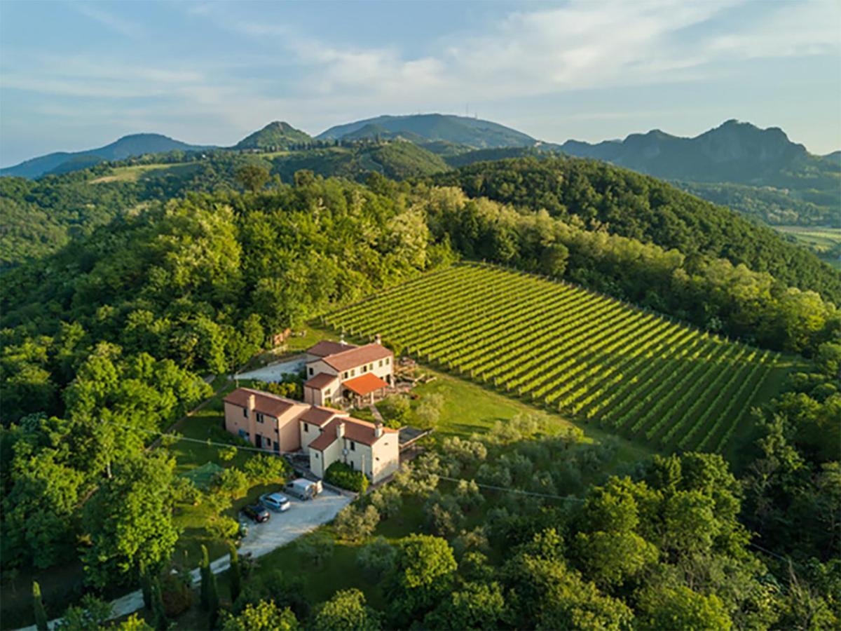 Agriturismo Terre Bianche Teolo Exterior photo