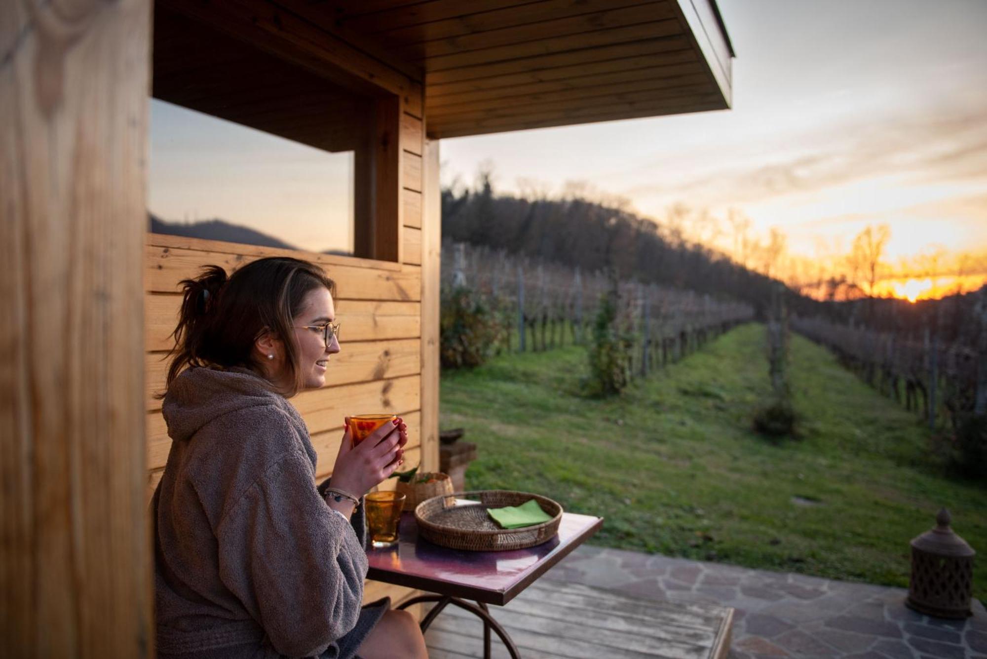 Agriturismo Terre Bianche Teolo Exterior photo