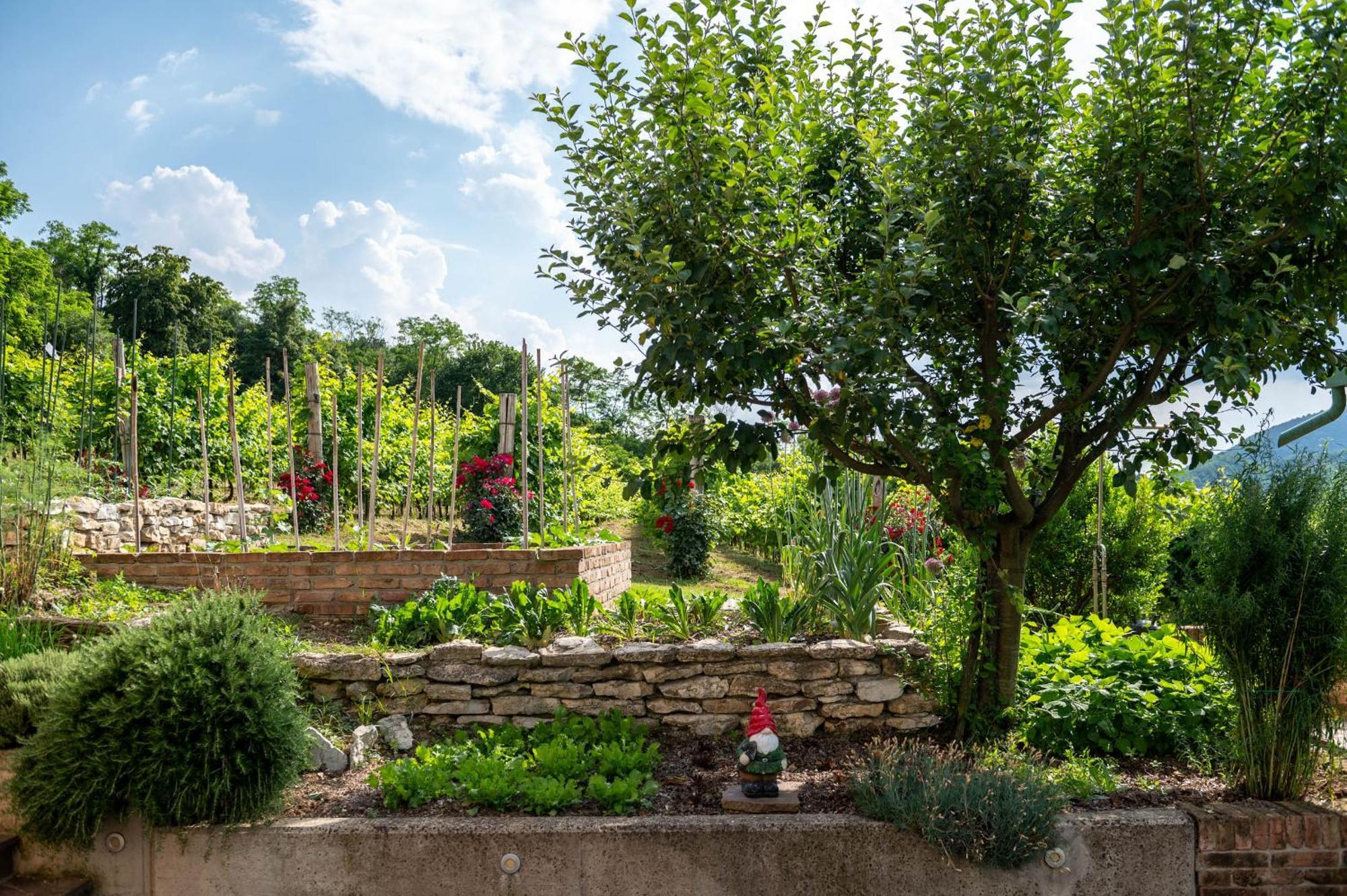 Agriturismo Terre Bianche Teolo Exterior photo