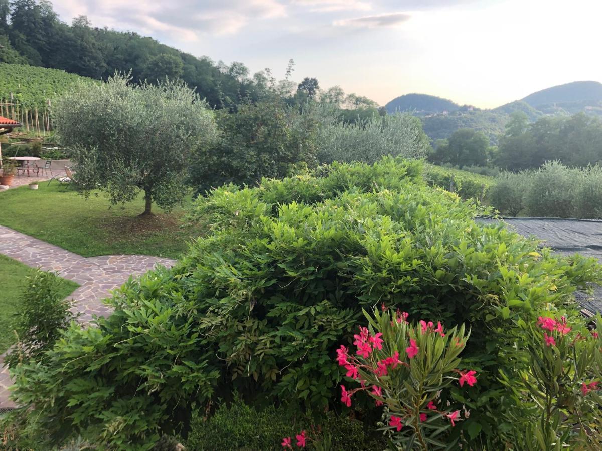 Agriturismo Terre Bianche Teolo Exterior photo